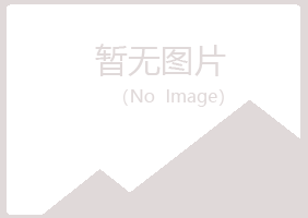 四川山柳工程有限公司